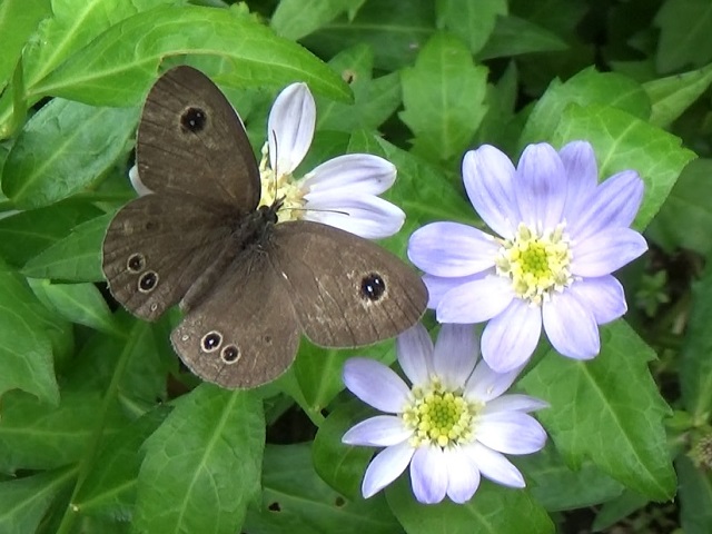 �`���E�`��