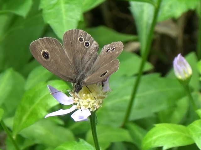 �`���E�`��