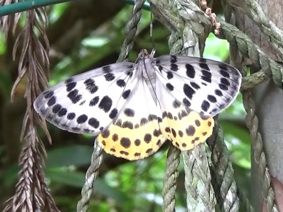 �`���E�`��