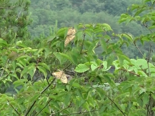 �`���E�`��