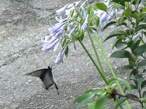 �`���E�`��