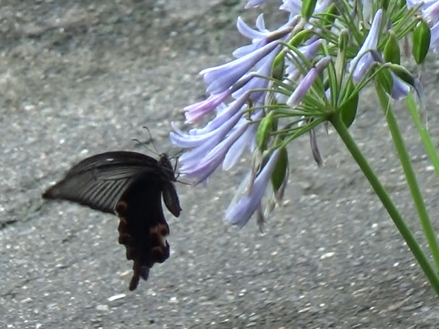 �`���E�`��