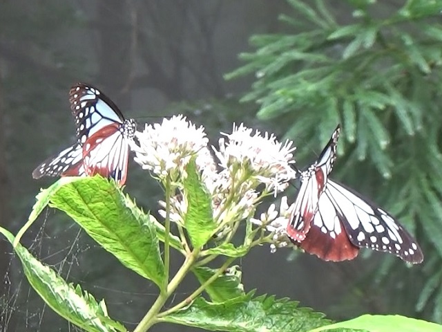 �`���E�`��