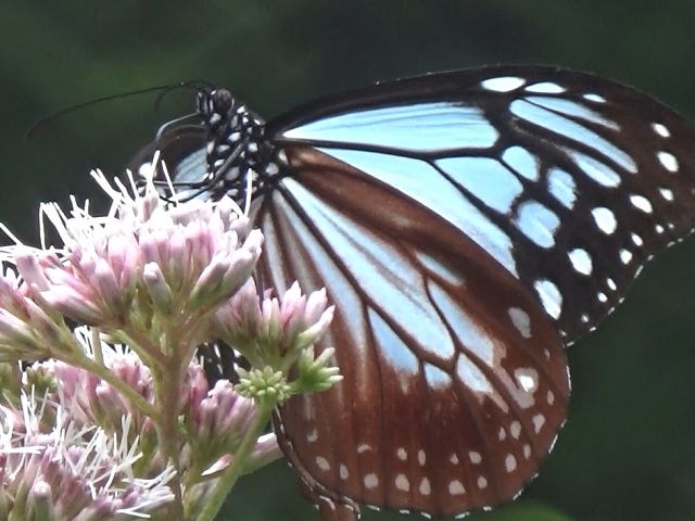 �`���E�`��