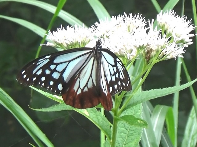 �`���E�`��