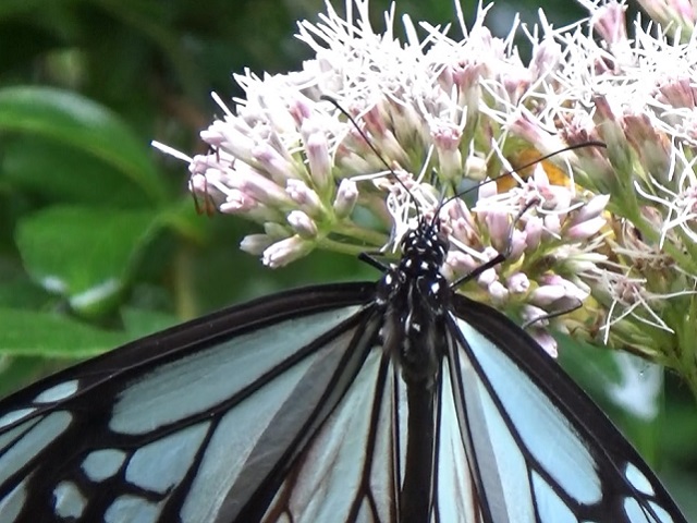 �`���E�`��