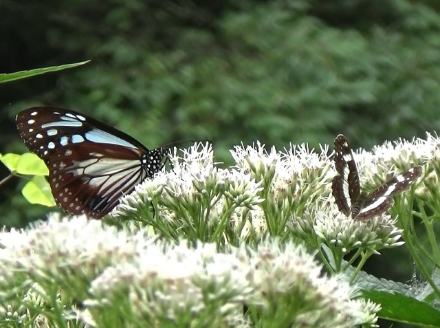 �`���E�`��