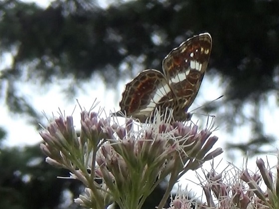 �`���E�`��