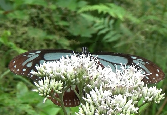 �`���E�`��