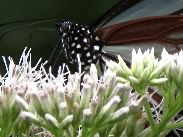 �`���E�`��