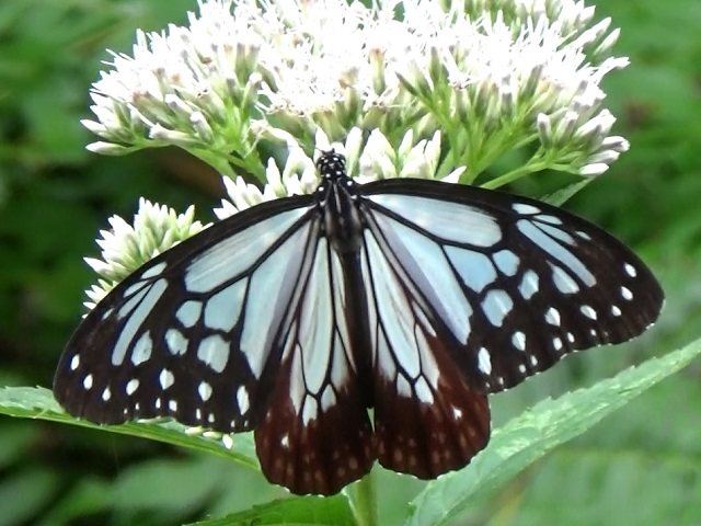 �`���E�`��