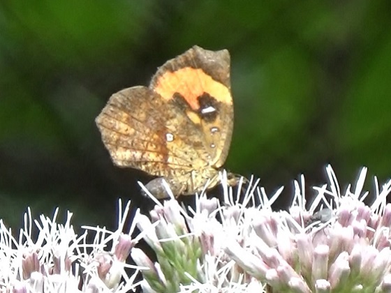 �`���E�`��