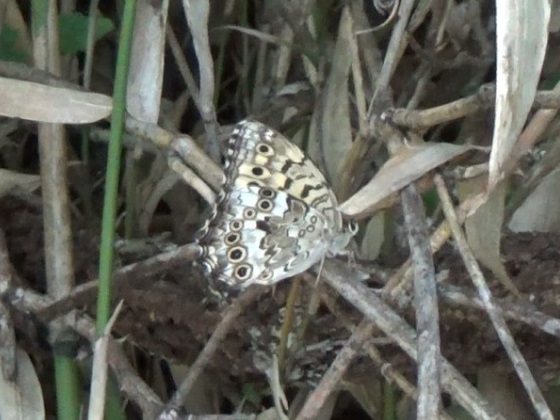 �`���E�`��