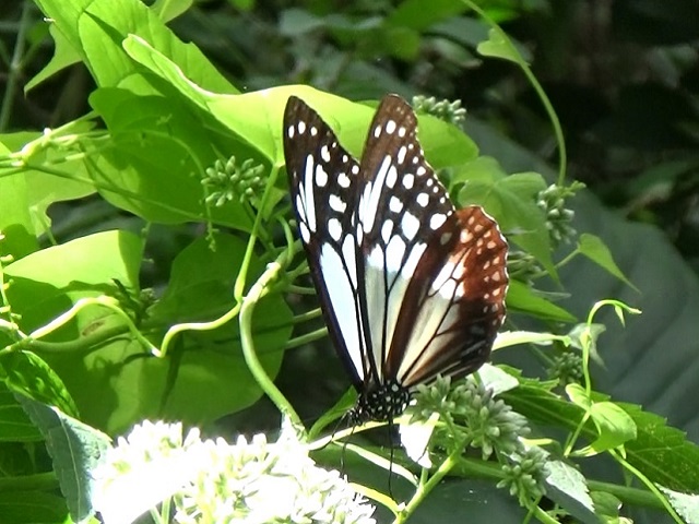 �`���E�`��