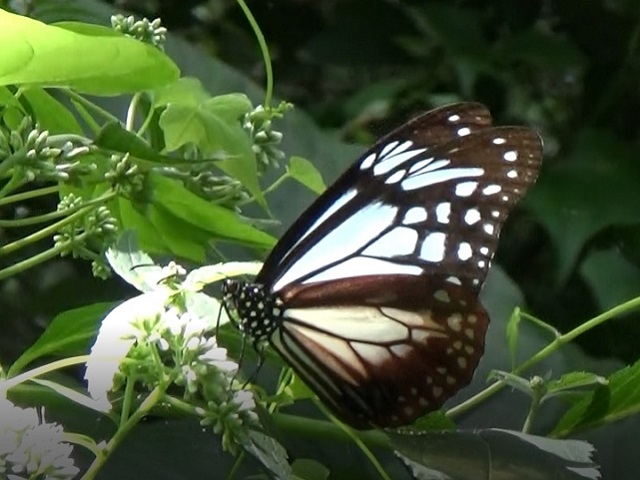 �`���E�`��