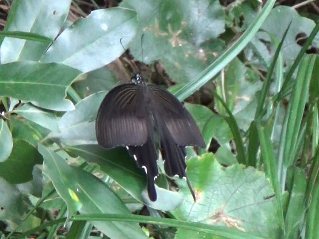 �`���E�`��