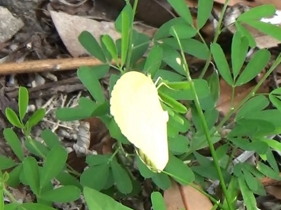 �`���E�`��