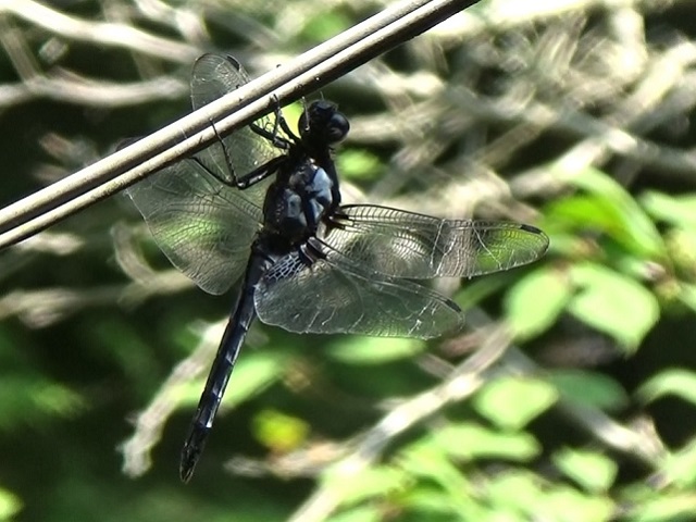 �`���E�`��