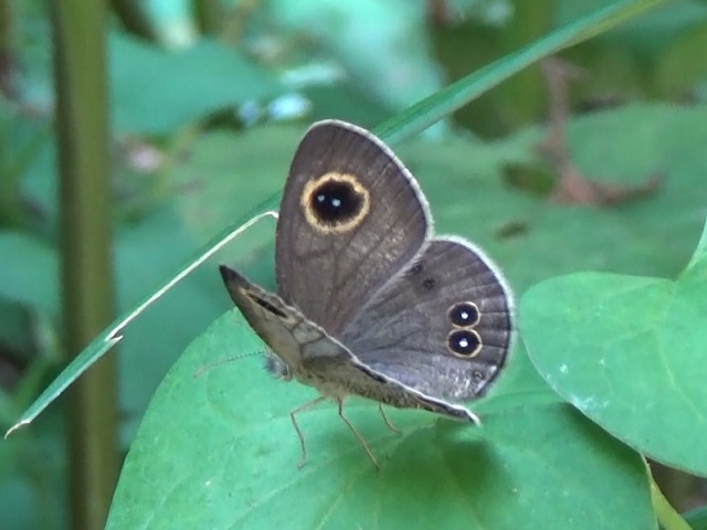 �`���E�`��