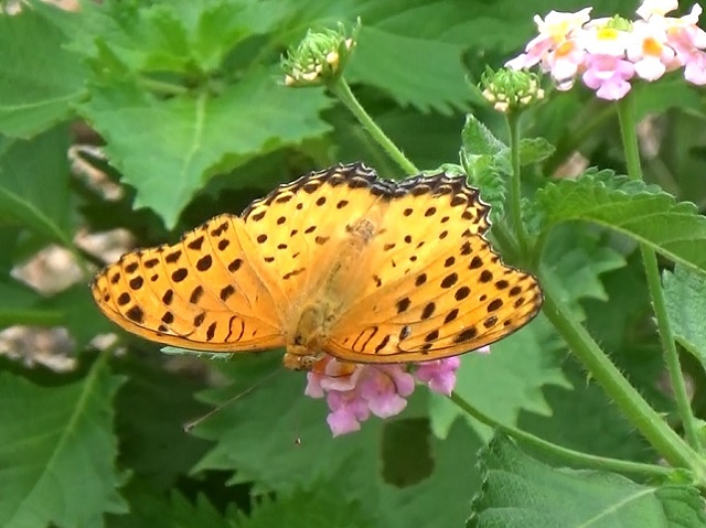 �`���E�`��