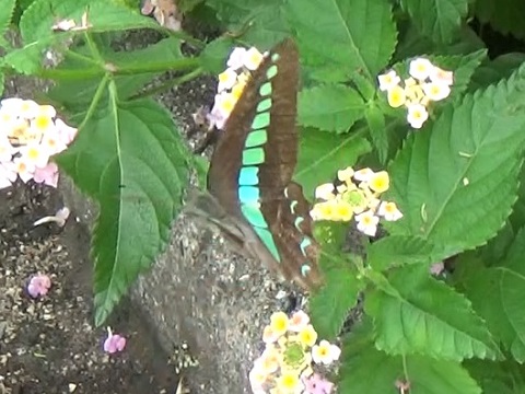 �`���E�`��