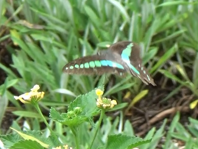 �`���E�`��