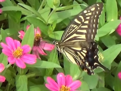 �`���E�`��