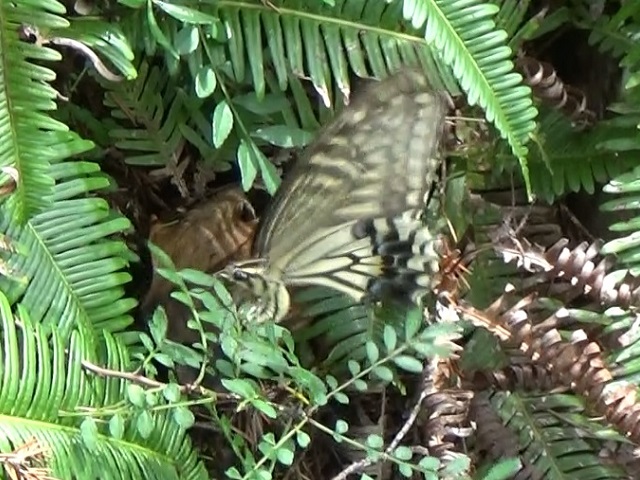 �`���E�`��