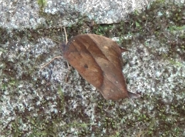 �`���E�`��