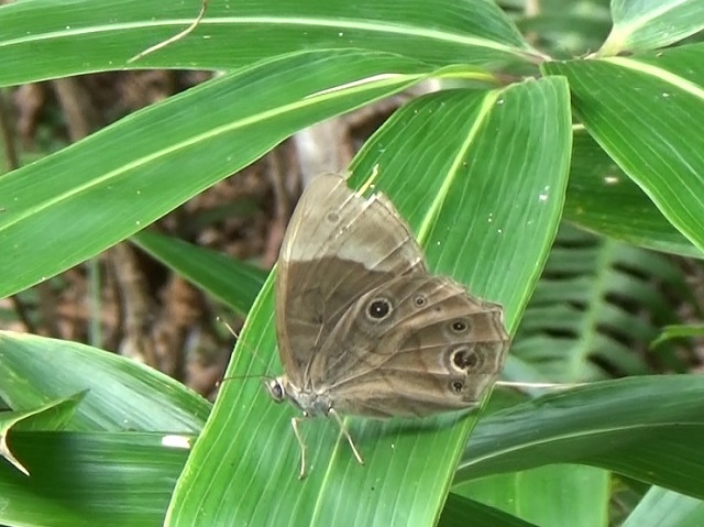 �`���E�`��