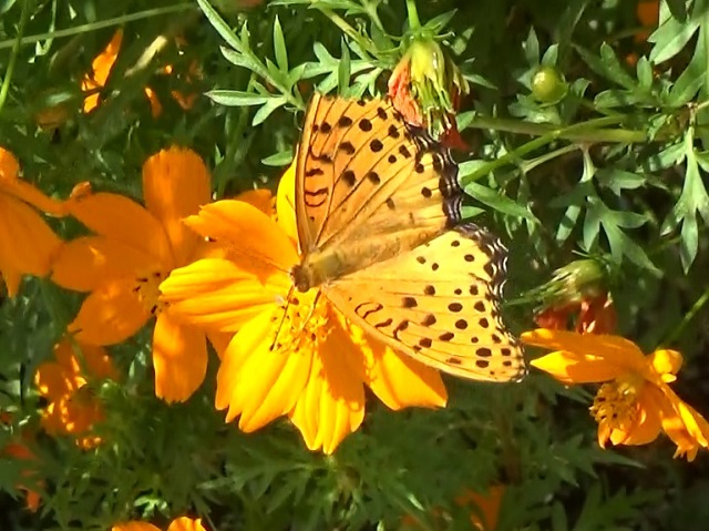 �`���E�`��