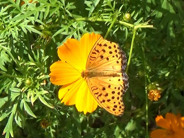 �`���E�`��