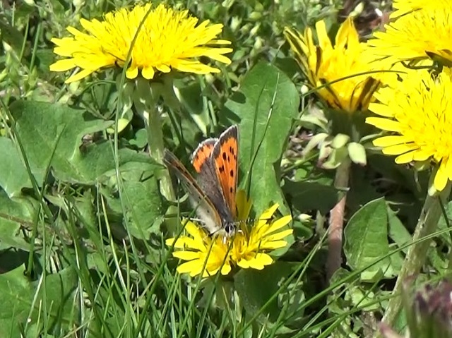 �`���E�`��