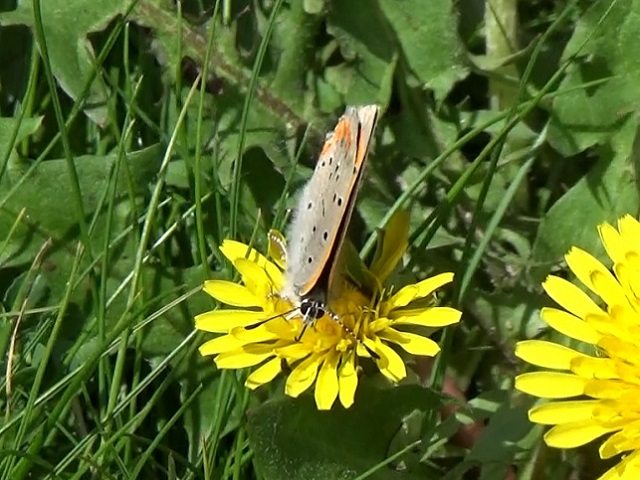 �`���E�`��