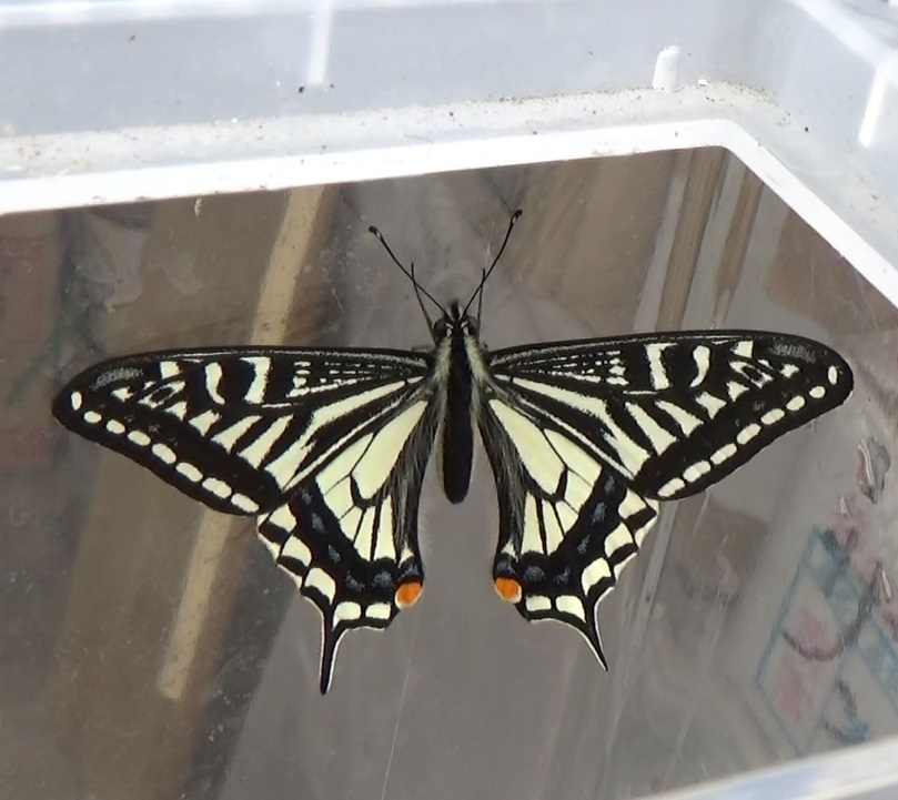 �`���E�`��