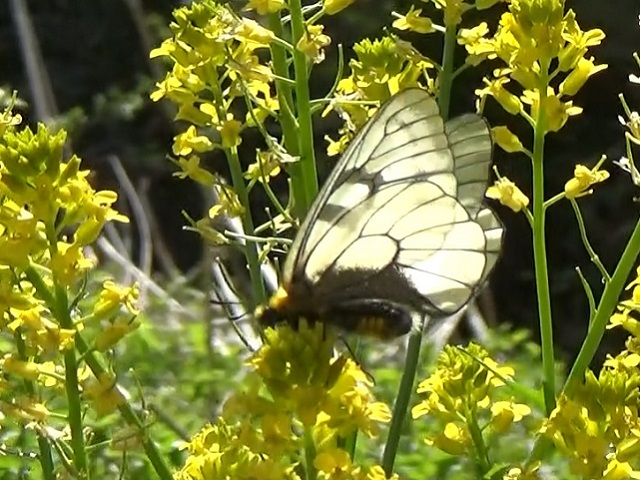 �`���E�`��