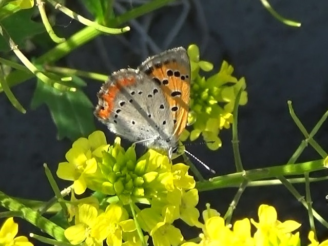 �`���E�`��