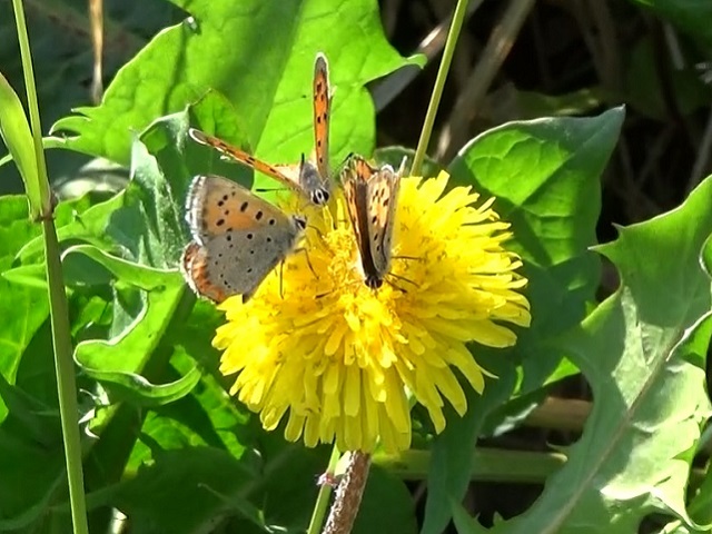 �`���E�`��