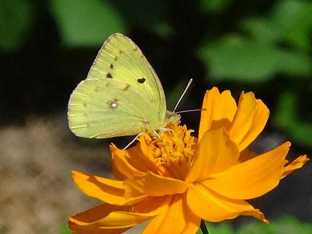 �`���E�`��