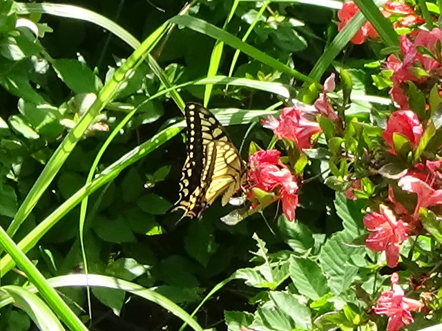 �`���E�`��