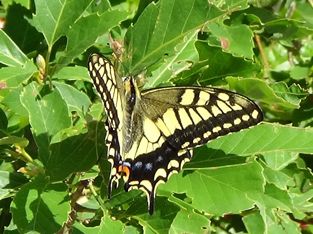 �`���E�`��