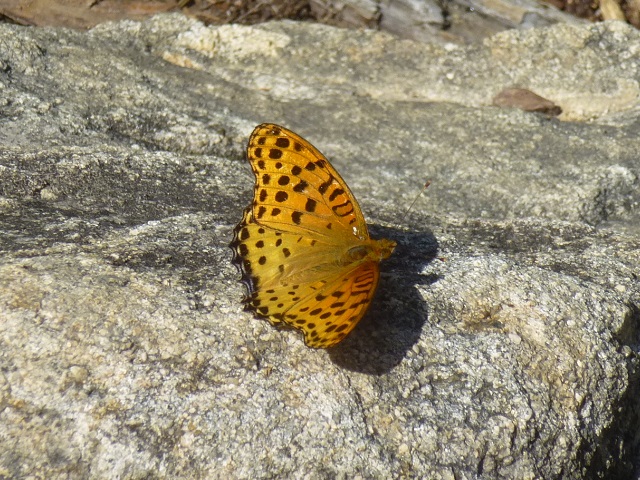 �`���E�`��