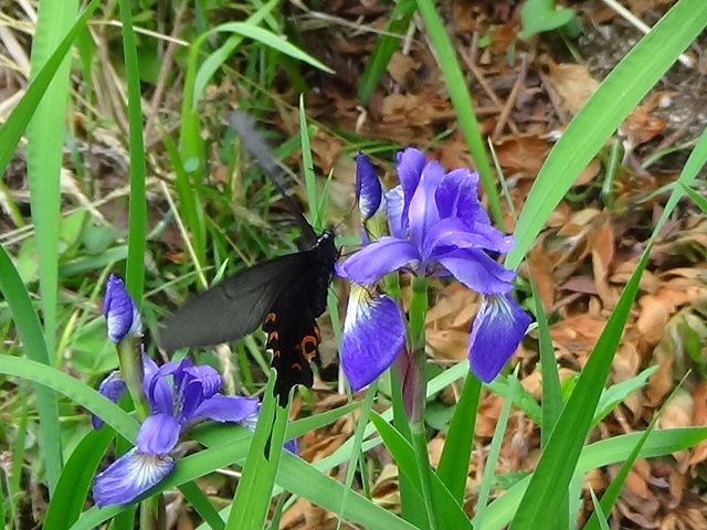 �`���E�`��