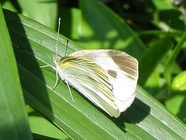 �`���E�`��