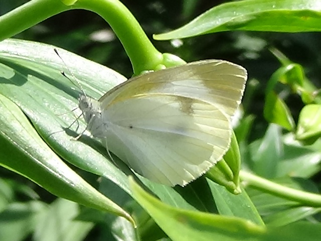 �`���E�`��