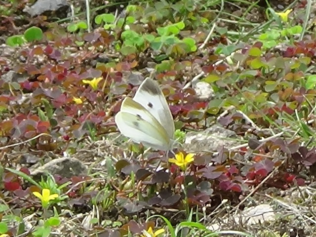 �`���E�`��