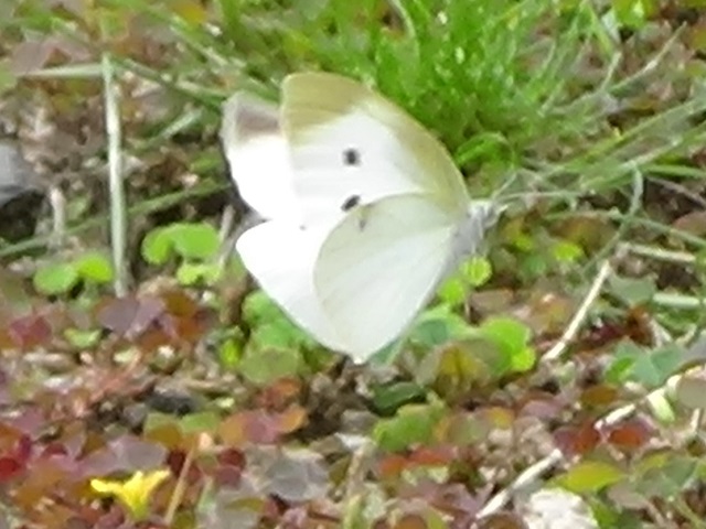 �`���E�`��