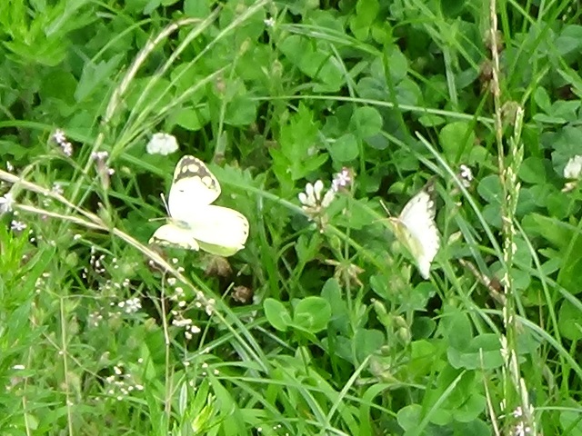 �`���E�`��