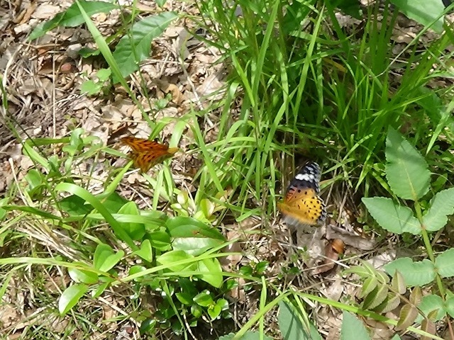 �`���E�`��