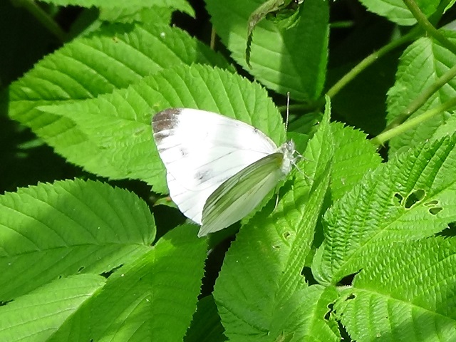 �`���E�`��